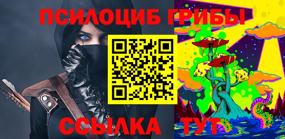 Галлюциногенные грибы Psilocybe Таганрог